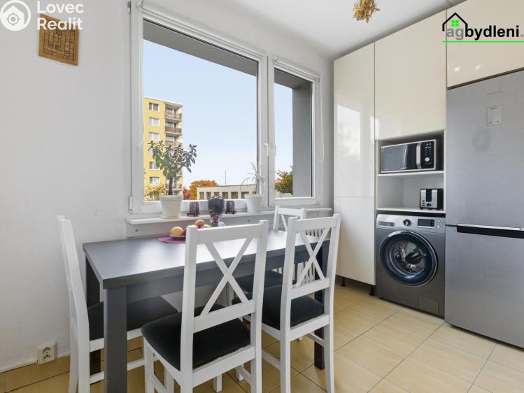 Pronájem bytu 2+1 Plzeň č. 1