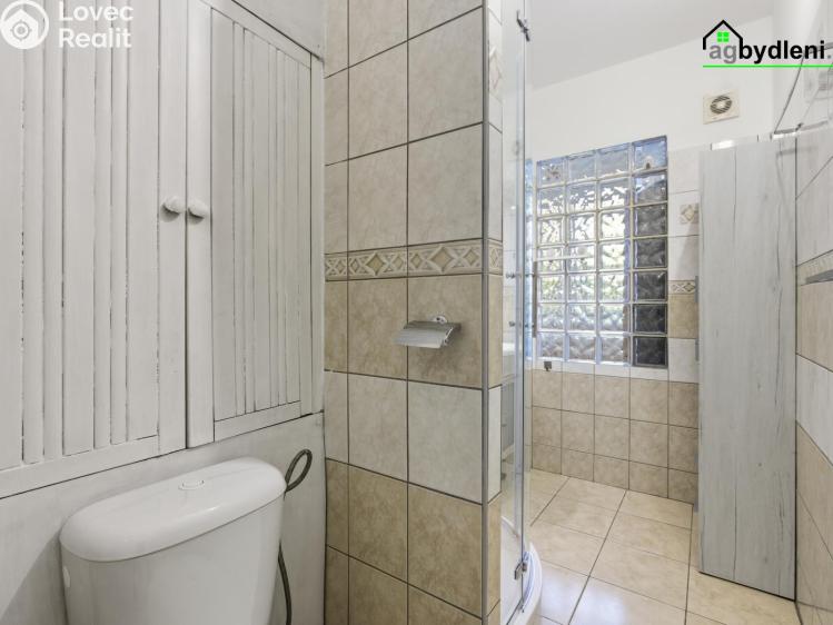 Pronájem bytu 2+1 Plzeň č. 6