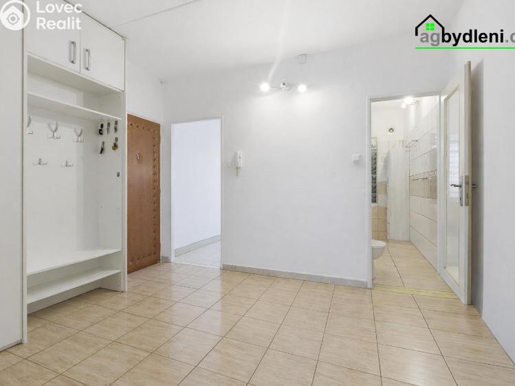 Pronájem bytu 2+1 Plzeň č. 7