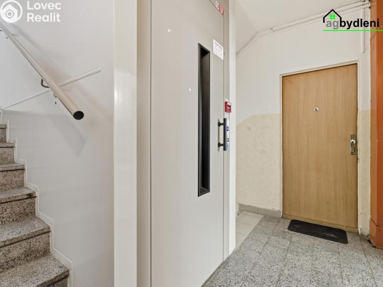 Pronájem bytu 2+1 Plzeň č. 8