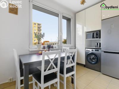 Pronájem bytu 2+1 Plzeň č. 1