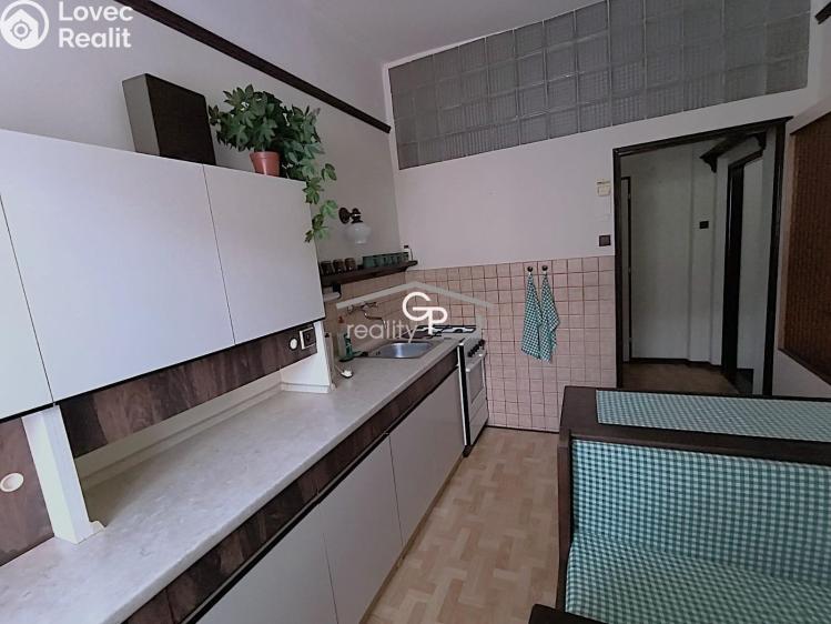 Rent multi-gen house České Budějovice, Jar. Ježka č. 3