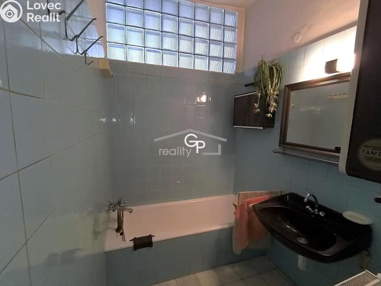 Rent multi-gen house České Budějovice, Jar. Ježka č. 13