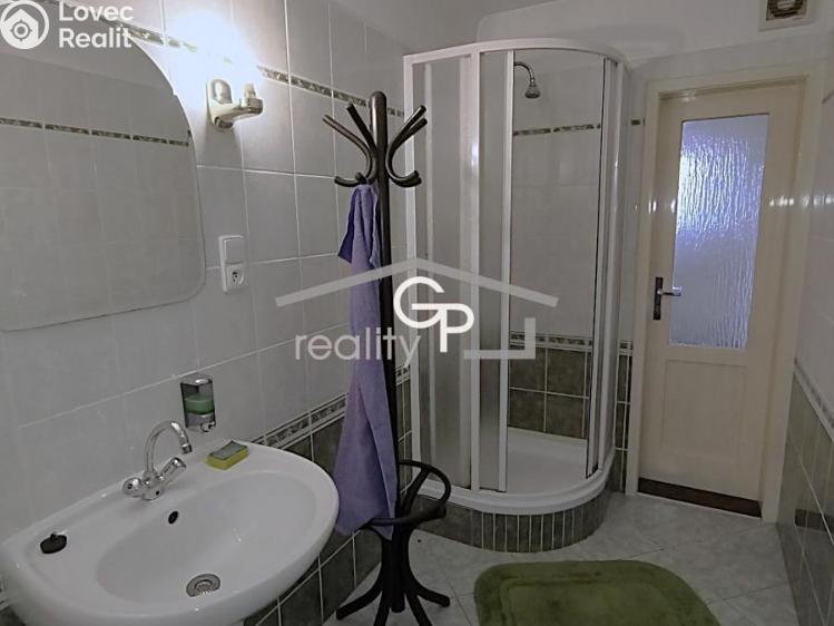 Rent multi-gen house České Budějovice, Jar. Ježka č. 14