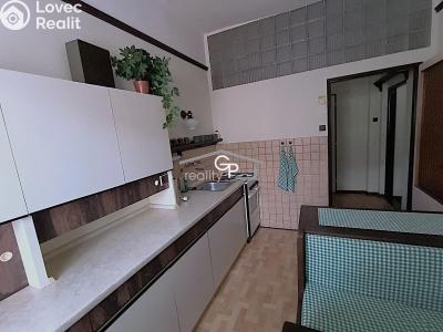 Оренда багатогенного будинку České Budějovice, Jar. Ježka č. 3