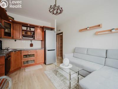 Prodej bytu 1+1 Pardubice, Palackého třída 2627 č. 3