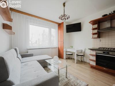 Prodej bytu 1+1 Pardubice, Palackého třída 2627 č. 5