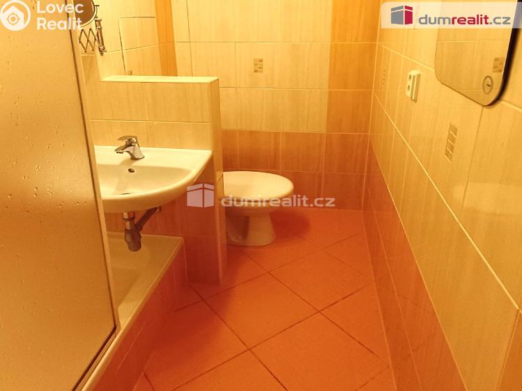 Pronájem bytu 1+1 Děčín, Vítova č. 7