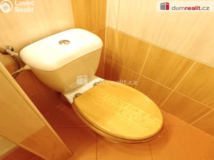 Pronájem bytu 1+1 Děčín, Vítova č. 9