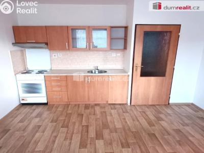 Pronájem bytu 1+1 Děčín, Vítova č. 1