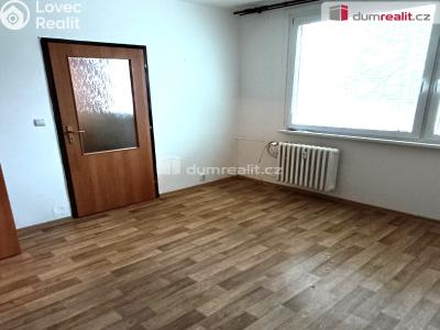 Pronájem bytu 1+1 Děčín, Vítova č. 3