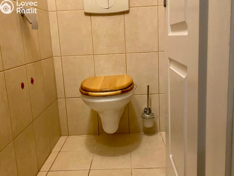 Pronájem bytu 4+KK Moravany, Modřická č. 9