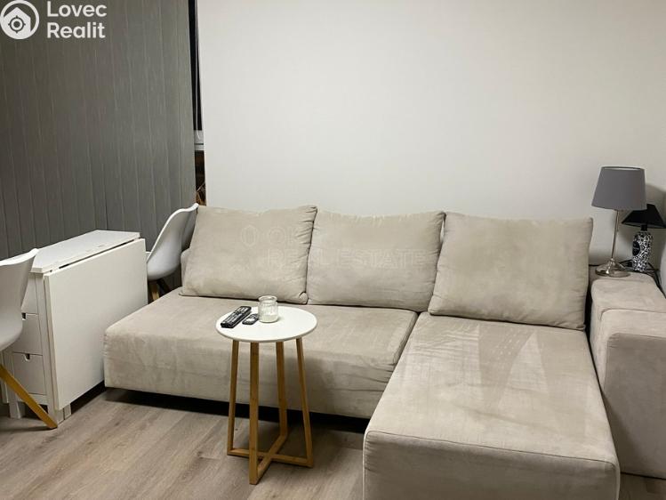 Pronájem bytu 3+KK Nová Ves pod Pleší, Řadová č. 24