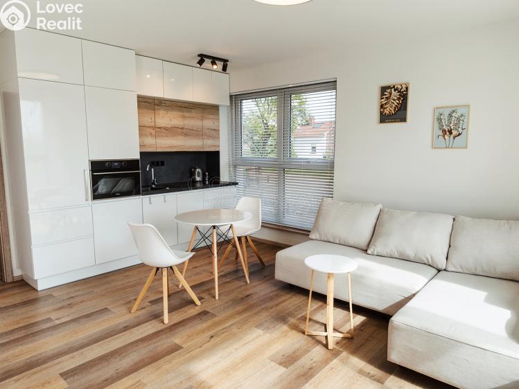 Pronájem bytu 3+KK Nová Ves pod Pleší, Řadová č. 1