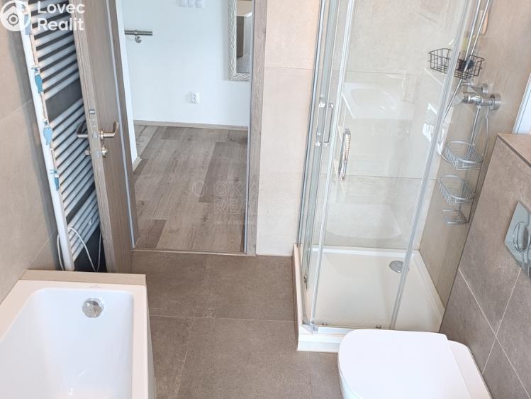 Pronájem bytu 3+KK Nová Ves pod Pleší, Řadová č. 8