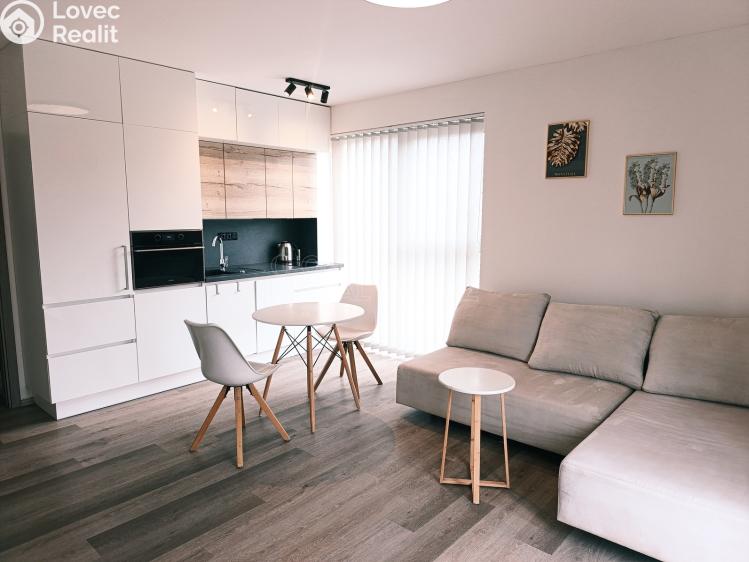 Pronájem bytu 3+KK Nová Ves pod Pleší, Řadová č. 28