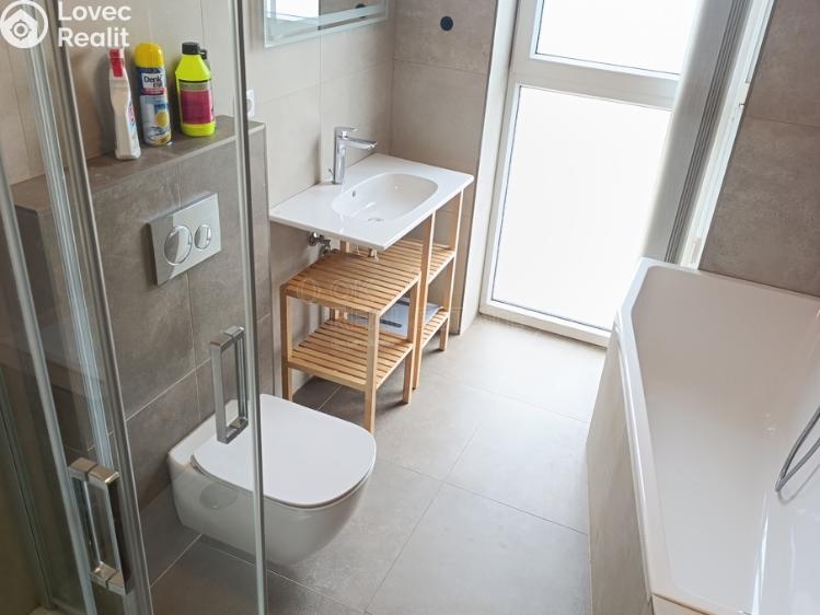 Rent apartment 3+KK Nová Ves pod Pleší, Řadová č. 9