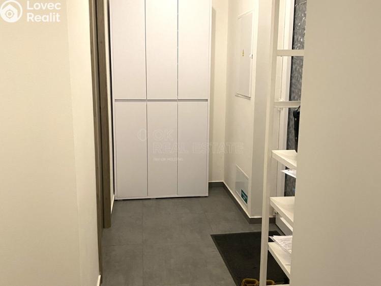 Rent apartment 3+KK Nová Ves pod Pleší, Řadová č. 21