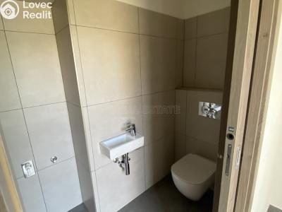 Pronájem bytu 3+KK Nová Ves pod Pleší, Řadová č. 6