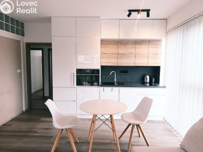 Аренда квартиры 3+KK Nová Ves pod Pleší, Řadová č. 5