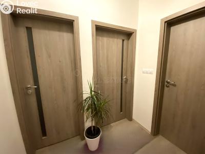 Аренда квартиры 3+KK Nová Ves pod Pleší, Řadová č. 22