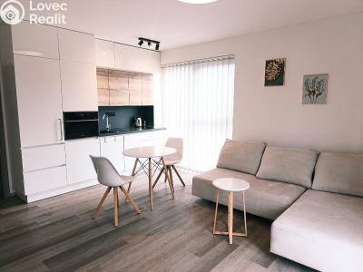 Аренда квартиры 3+KK Nová Ves pod Pleší, Řadová č. 28