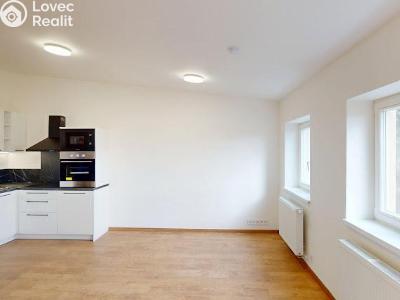 Pronájem bytu 1+KK Praha, Na Petynce č. 1