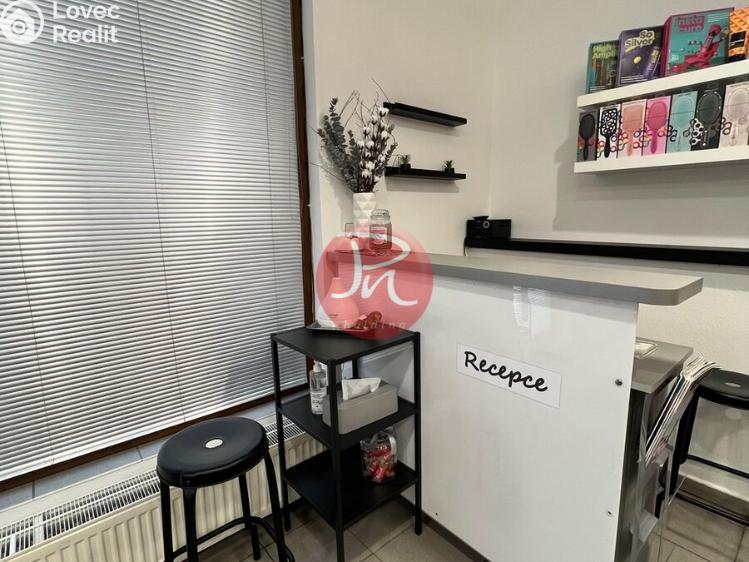 Pronájem komerční nemovitosti Ostrava, 30. dubna č. 5