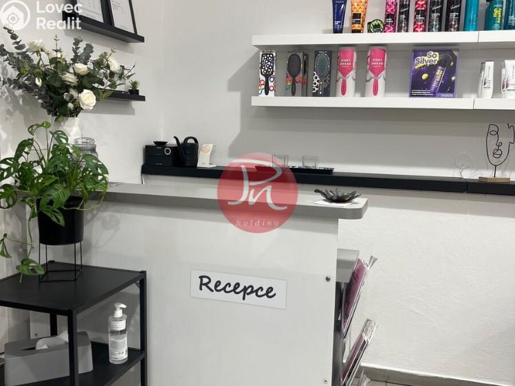 Pronájem komerční nemovitosti Ostrava, 30. dubna č. 6