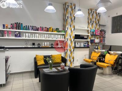 Pronájem komerční nemovitosti Ostrava, 30. dubna č. 2