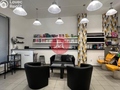 Pronájem komerční nemovitosti Ostrava, 30. dubna č. 3