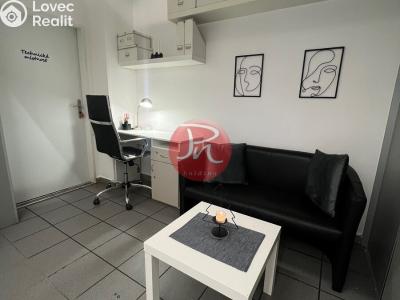 Pronájem komerční nemovitosti Ostrava, 30. dubna č. 4