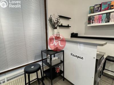 Pronájem komerční nemovitosti Ostrava, 30. dubna č. 5