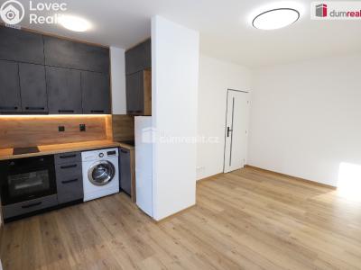 Продаж квартири 1+KK Kraslice, Pohraniční stráže č. 1