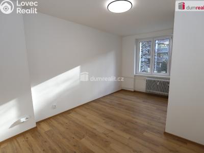 Продаж квартири 1+KK Kraslice, Pohraniční stráže č. 6