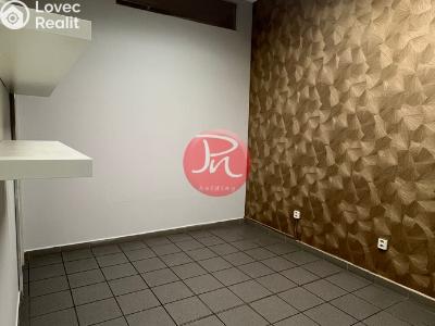 Pronájem komerční nemovitosti Ostrava, 30. dubna č. 3