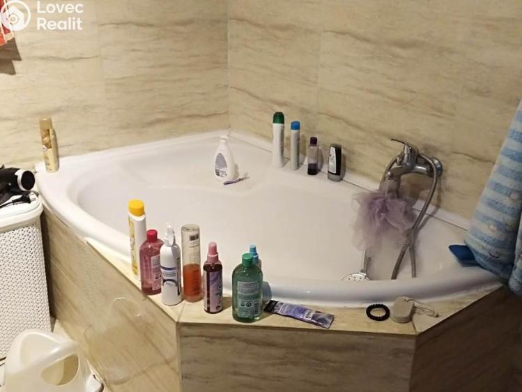 Pronájem bytu 3+KK Prostějov č. 7