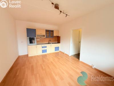 Pronájem bytu 2+KK České Budějovice, Netolická č. 1