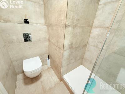 Pronájem bytu 2+KK České Budějovice, Netolická č. 6