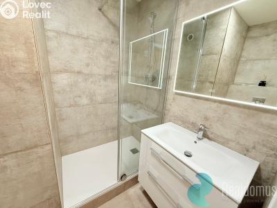 Pronájem bytu 2+KK České Budějovice, Netolická č. 2