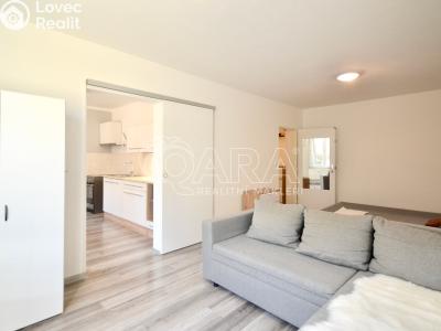 Продаж квартири 1+1 Milovice, Višňová 572 č. 3