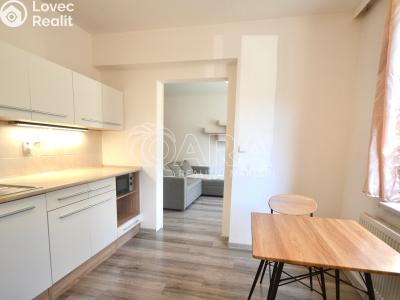 Продаж квартири 1+1 Milovice, Višňová 572 č. 6