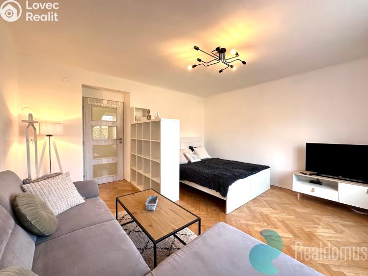 Pronájem bytu 1+1 České Budějovice, Pabláskova č. 2