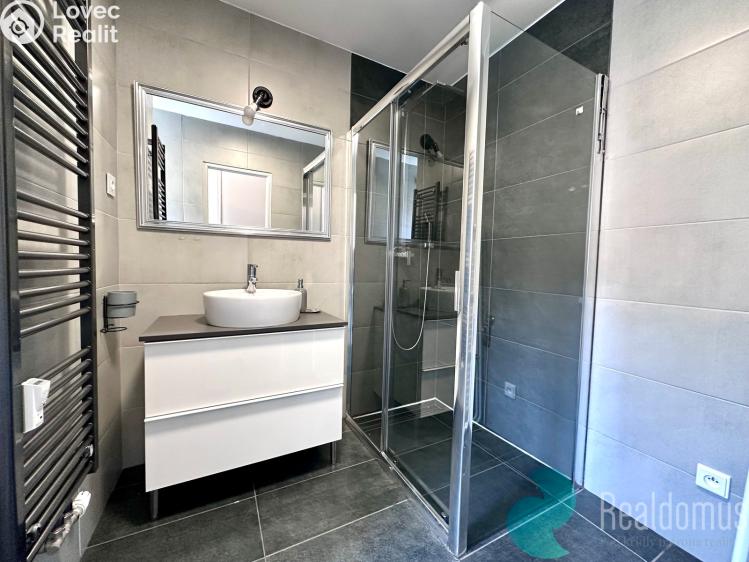 Pronájem bytu 1+1 České Budějovice, Pabláskova č. 4