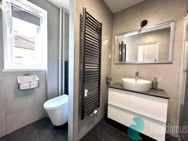 Pronájem bytu 1+1 České Budějovice, Pabláskova č. 5