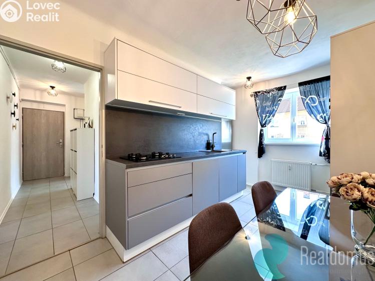 Pronájem bytu 1+1 České Budějovice, Pabláskova č. 6