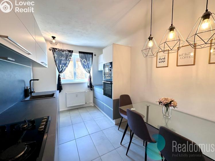 Pronájem bytu 1+1 České Budějovice, Pabláskova č. 8