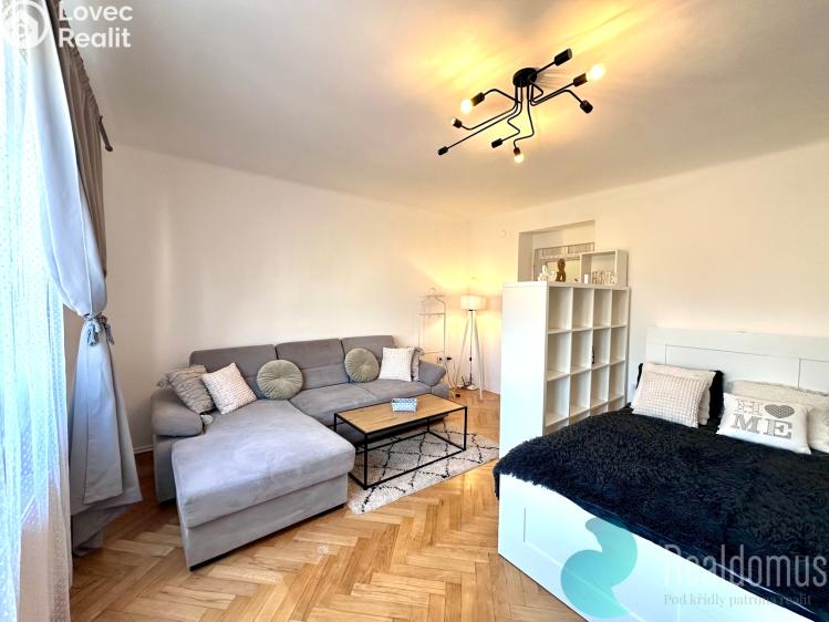 Pronájem bytu 1+1 České Budějovice, Pabláskova č. 10