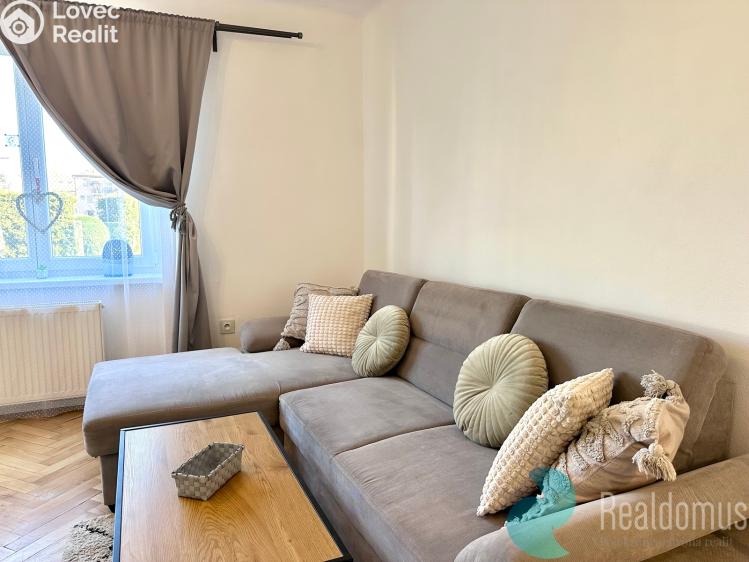 Pronájem bytu 1+1 České Budějovice, Pabláskova č. 13