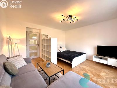 Pronájem bytu 1+1 České Budějovice, Pabláskova č. 2